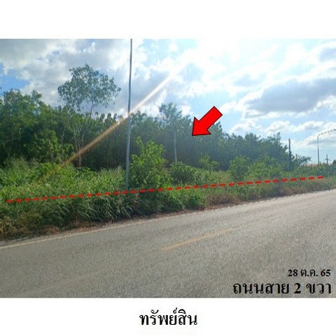 picture FOR SALE LAND PROPERTY 14607000 BAHT. - 3/8