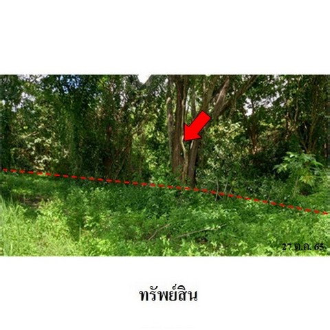 picture FOR SALE  LAND PROPERTY  1076000 BAHT. - 4/8