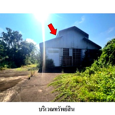โรงงาน ลำปาง : Z8Z7001 ขายโกดัง ตำบล ปงแสนทอง อำเภอ เมืองลำปาง จังหวัด ลำปาง