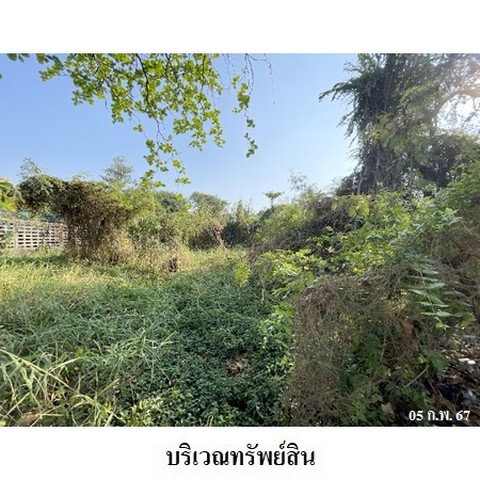 รูป ZLL0015 ขายที่ดินเปล่า ตำบล อ้อมน้อย อำเภอ กระทุ่มแบน จังหวัด สมุทรสาคร - รูปที่ 5/8