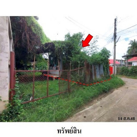 รูป ZLTR019 ขายที่ดินเปล่า ตำบล ท่าศาลา อำเภอ เมืองเชียงใหม่ จังหวัด เชียงใหม่ - รูปที่ 3/8