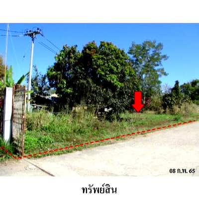 Land for sale Chiang Mai Rajabhat University (Mae Rim) : FOR SALE  LAND PROPERTY  14469000 BAHT.