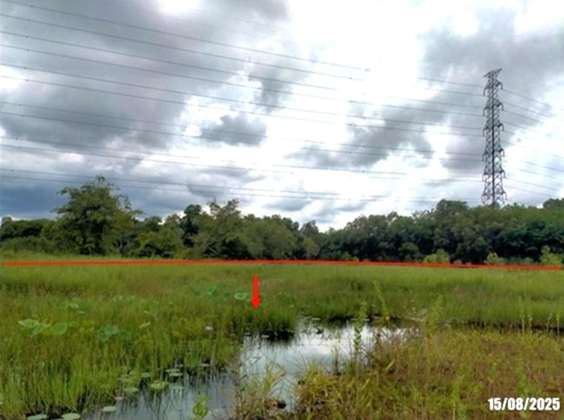picture LAND 839.2 Sq.w. Muang Udon Thani Udon Thani for 1.7M - 8/14