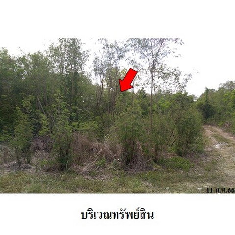 picture FOR SALE  LAND PROPERTY  4405000 BAHT. - 8/8