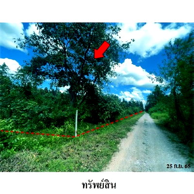 Land for sale Hang Chat Lamphang : FOR SALE  LAND PROPERTY  6254000 BAHT.
