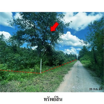 FOR SALE LAND PROPERTY 6254000 BAHT.