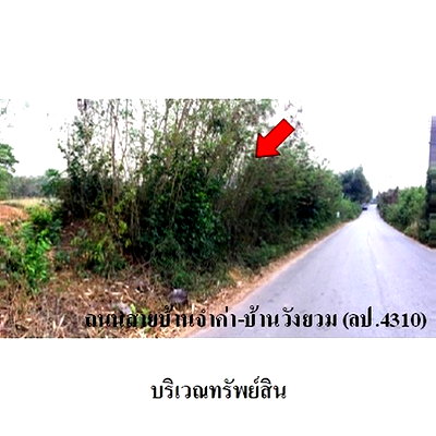 Land for sale Muang Lampang Lamphang : FOR SALE  LAND PROPERTY  1530000 BAHT.