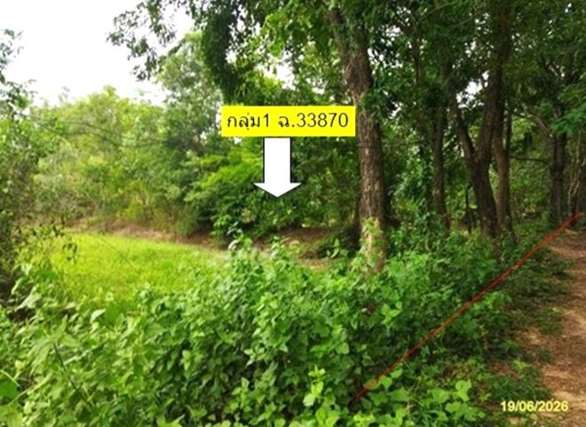 รูป ที่ดินว่างเปล่า 3278 ตร.วา ยางตลาด กาฬสินธุ์ 2.7M - รูปที่ 5/24