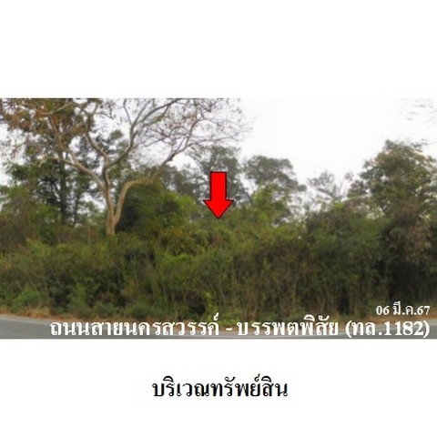 รูป Z3A0697 ขายที่ดินเปล่า ตำบล หูกวาง อำเภอ บรรพตพิสัย จังหวัด นครสวรรค์ - รูปที่ 3/8