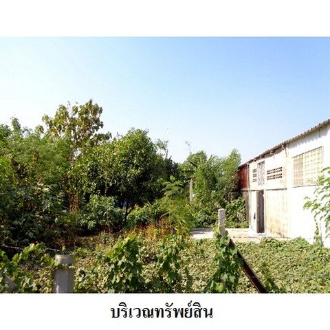 picture FOR SALE LAND PROPERTY 1616000 BAHT. - 6/8
