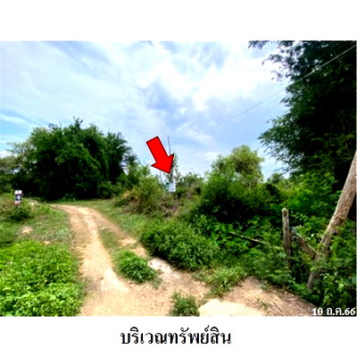 Land for sale Suan Dusit Rajabhat University Lumpang : FOR SALE  LAND PROPERTY  1316000 BAHT.