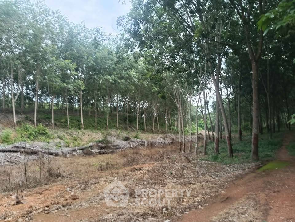 รูป ขายที่ดิน ขนาด 46.9 ตร.ม. บ่อทอง ชลบุรี (ID 3028033) - รูปที่ 7/7