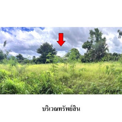 รูป ZBL0082 ขายที่ดินเปล่า ตำบล ปงตำ อำเภอ ไชยปราการ จังหวัด เชียงใหม่ - รูปที่ 4/8