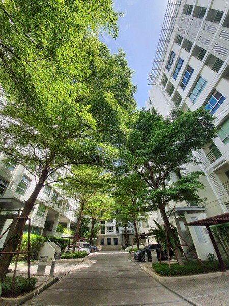 picture A046209 The Room Sukhumvit 79 - 2/8