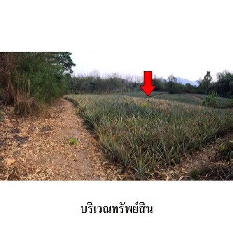 picture FOR SALE  LAND PROPERTY  1530000 BAHT. - 3/8