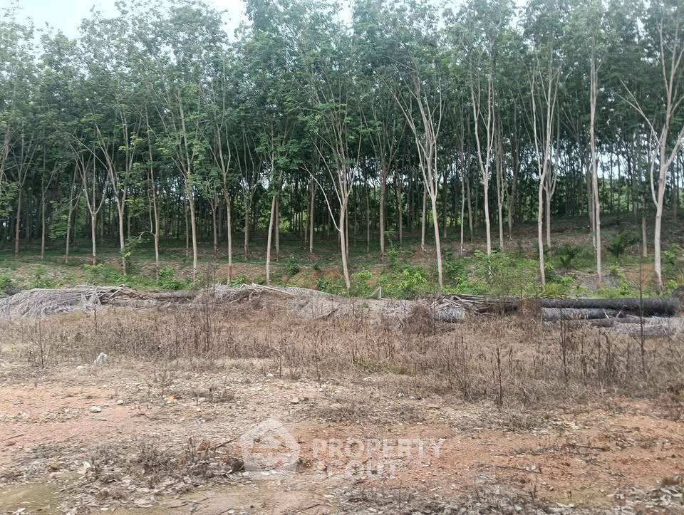 รูป ขายที่ดิน ขนาด 46.9 ตร.ม. บ่อทอง ชลบุรี (ID 3028033) - รูปที่ 2/7