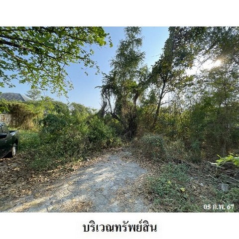 รูป ZLL0015 ขายที่ดินเปล่า ตำบล อ้อมน้อย อำเภอ กระทุ่มแบน จังหวัด สมุทรสาคร - รูปที่ 3/8