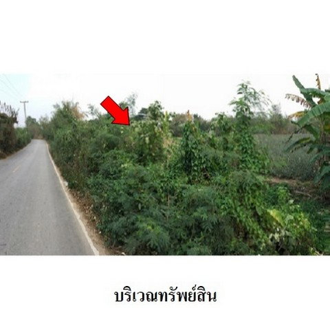 picture FOR SALE  LAND PROPERTY  1530000 BAHT. - 2/8