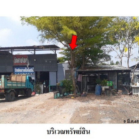 รูป Z8Z7141 ขายบ้าน ตำบล บางไทร อำเภอ บางไทร จังหวัด พระนครศรีอยุธยา - รูปที่ 7/8