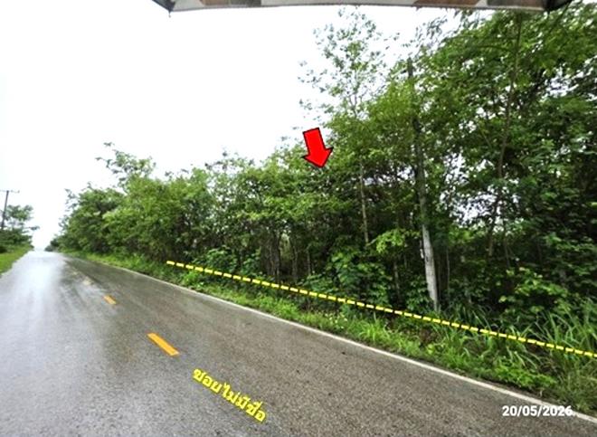 picture LAND 1672 Sq.w. Tha Li Loei for 4.2M - 9/24