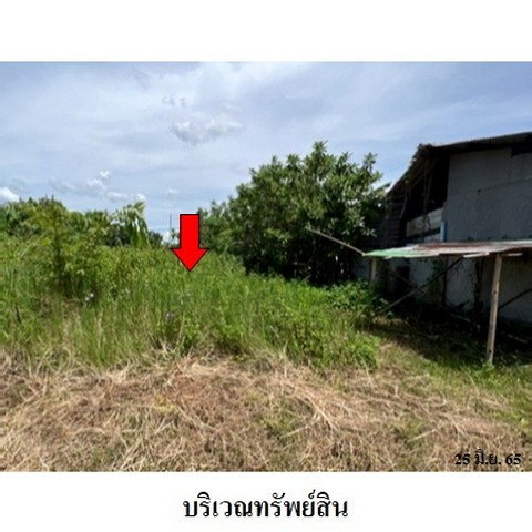 picture FOR SALE LAND PROPERTY 735000 BAHT. - 4/8