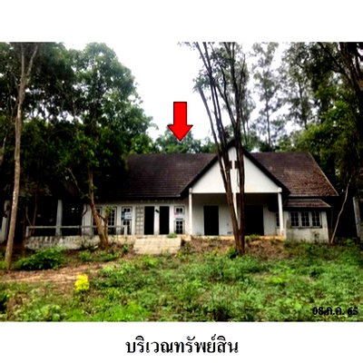 ขายบ้านเดี่ยว : Z8Z3211 ขายบ้านเดี่ยว โครงการ ล้านนาคันทรีปาร์ค ตำบล ศาลา อำเภอ เกาะคา จังหวัด ลำปาง