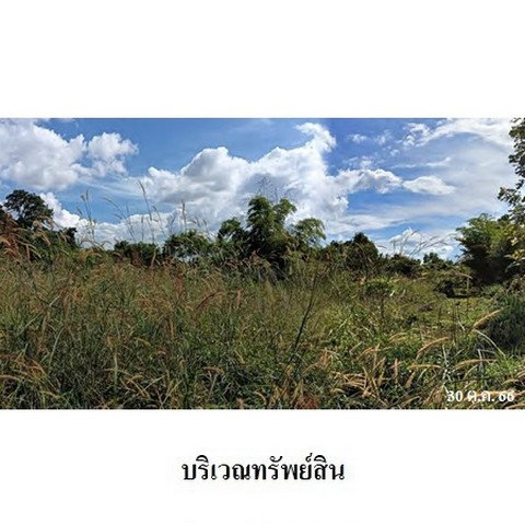 picture FOR SALE LAND PROPERTY 3273000 BAHT. - 4/8