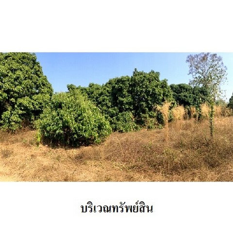 picture FOR SALE  LAND PROPERTY  7034000 BAHT. - 7/8