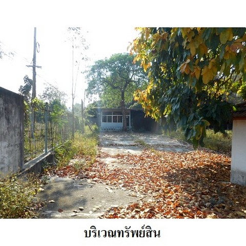 รูป Z8Z3221 ขายโกดัง ตำบล พระบาท อำเภอ เมืองลำปาง จังหวัด ลำปาง - รูปที่ 4/8
