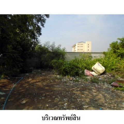 picture FOR SALE  LAND PROPERTY  12899000 BAHT. - 7/8
