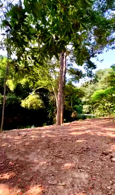 Land for sale Pak Chong Nakhon Ratchasima : Khao Yai land — riverfront on Lam Takhong, truly rare! Riverfront plus a wide frontage