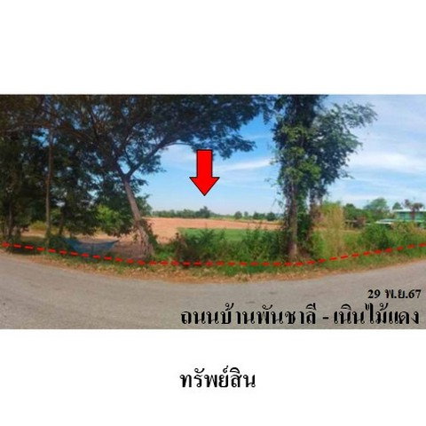 รูป ZLL0073 ขายที่ดินเปล่า ตำบล พันชาลี อำเภอ วังทอง จังหวัด พิษณุโลก - รูปที่ 2/8