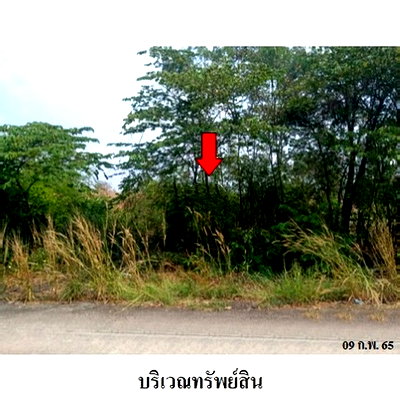 ที่ดิน พระนครศรีอยุธยา : Z8Z2197 ขายที่ดินเปล่า โครงการ บางไทรเวลเนสโฮม ตำบล แคตก อำเภอ บางไทร จังหวัด พระนครศรีอยุธยา
