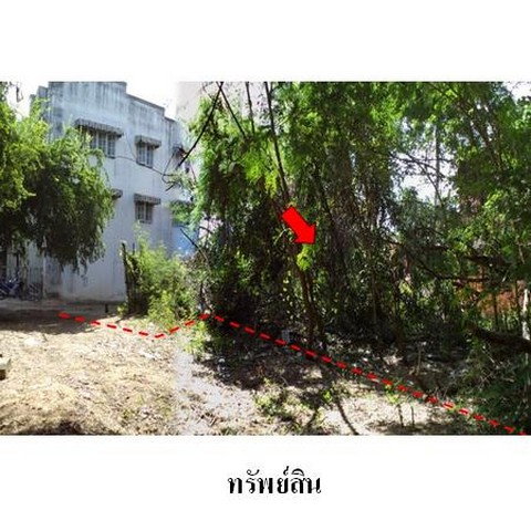 picture FOR SALE  LAND PROPERTY  2327000 BAHT. - 2/8