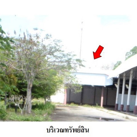 รูป Z3A0812 ขายโกดัง ตำบล ป่าอ้อดอนชัย อำเภอ เมืองเชียงราย จังหวัด เชียงราย - รูปที่ 5/8