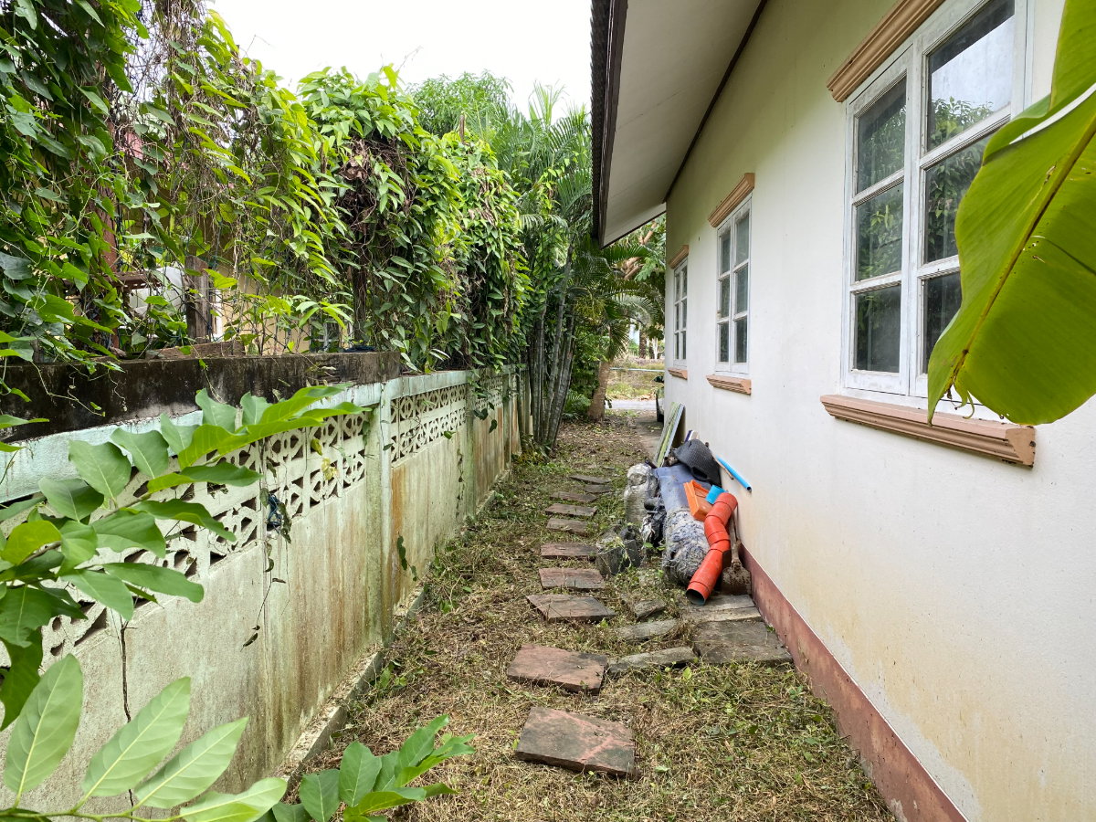 รูป ขายบ้านเดี่ยวชั้นเดียว บ้านใหม่ 92 ตร.ว. พร้อมเฟอร์นิเจอร์ครบ เข้าอยู่ได้ทันที ซอย รร.บ้านใหม่ บางใหญ่ นนทบุรี - รูปที่ 13/14