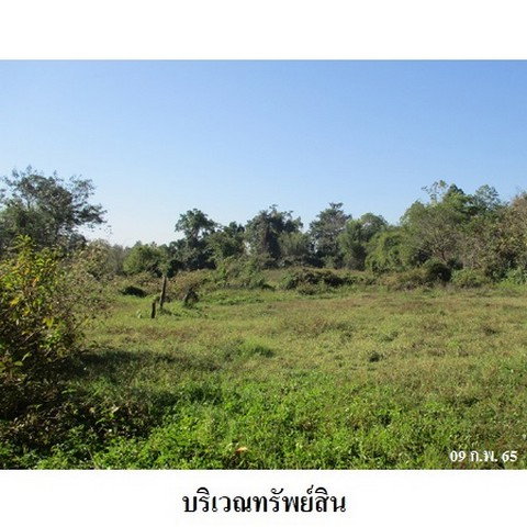 picture FOR SALE  LAND PROPERTY  8330000 BAHT. - 4/8