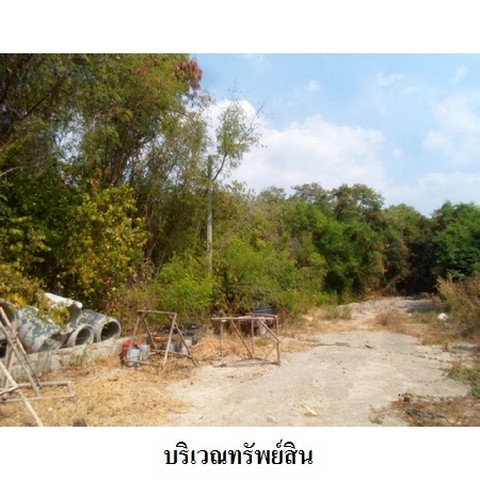 รูป Z2T2051 ขายที่ดินเปล่า โครงการ ธาราทิพย์ ตำบล ทะเลชุบศร อำเภอ เมืองลพบุรี จังหวัด ลพบุรี - รูปที่ 2/8