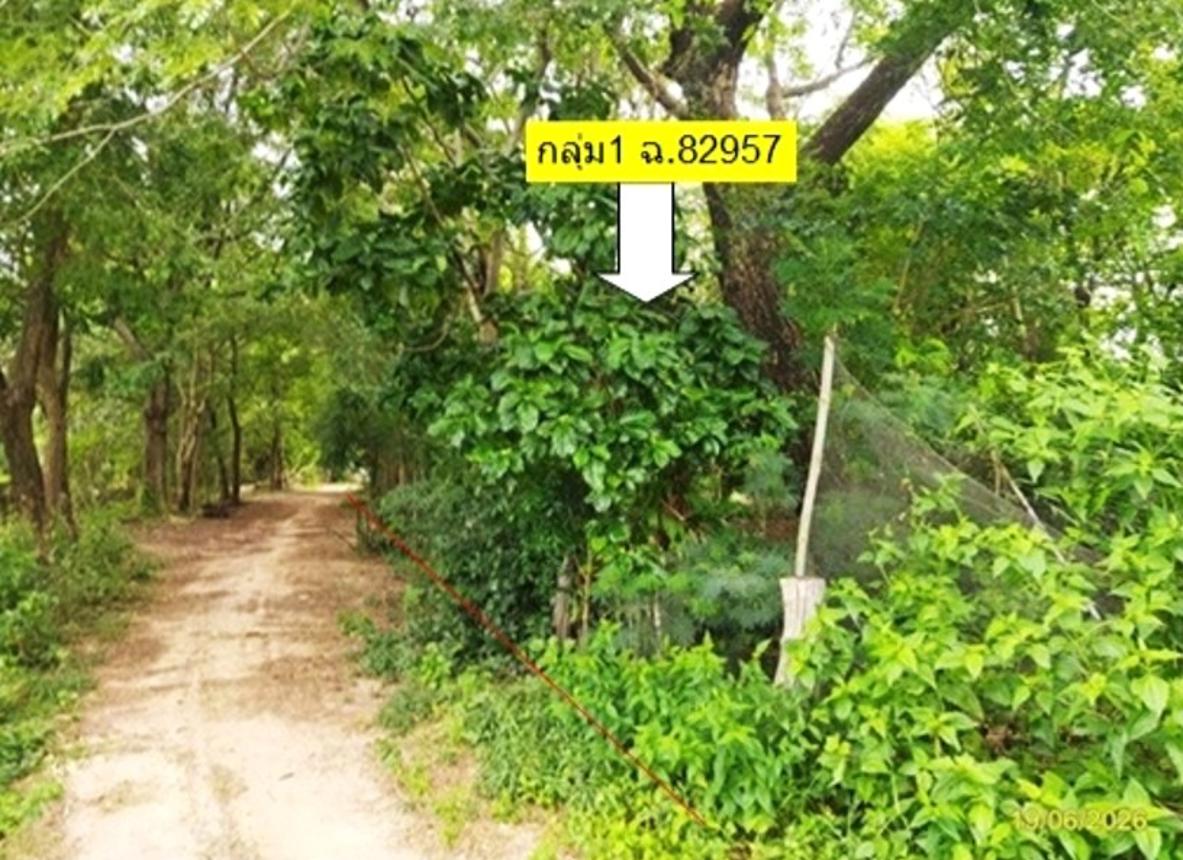 รูป ที่ดินว่างเปล่า 3278 ตร.วา ยางตลาด กาฬสินธุ์ 2.7M - รูปที่ 13/24