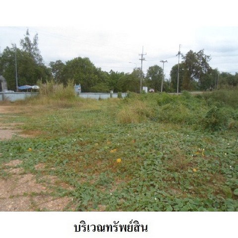 รูป Z4T0206 ขายที่ดินเปล่า ตำบล โพชนไก่ อำเภอ บางระจัน จังหวัด สิงห์บุรี - รูปที่ 3/8