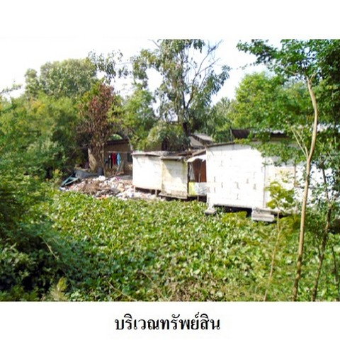 picture FOR SALE  LAND PROPERTY  12899000 BAHT. - 4/8