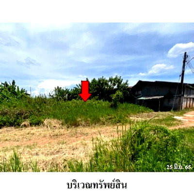 ที่ดิน ฝาง เชียงใหม่ : Z3A1871 ขายที่ดินเปล่า ตำบล เวียง อำเภอ ฝาง จังหวัด เชียงใหม่