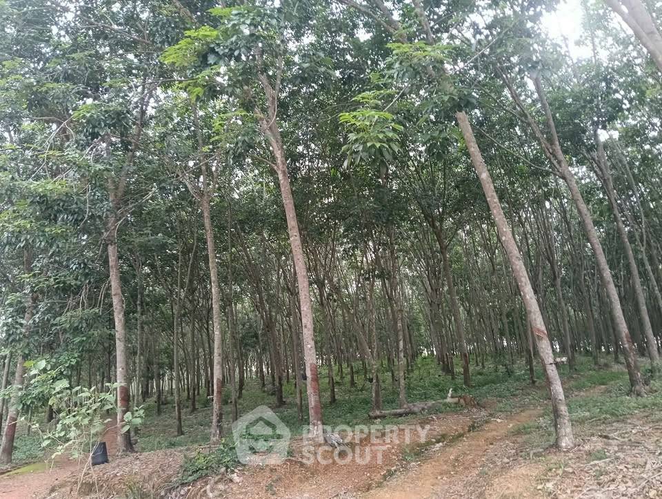 รูป ขายที่ดิน ขนาด 46.9 ตร.ม. บ่อทอง ชลบุรี (ID 3028033) - รูปที่ 6/7