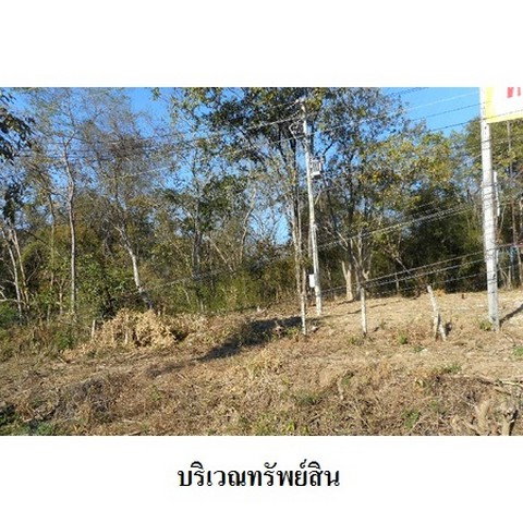 picture FOR SALE LAND PROPERTY 9420000 BAHT. - 5/8