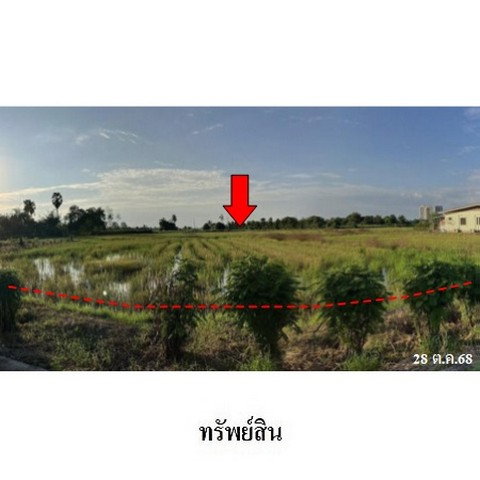 picture FOR SALE  LAND PROPERTY  8125000 BAHT. - 7/8
