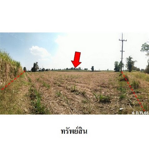 รูป Z3A2187 ขายที่ดินเปล่า ตำบล บึงกอก อำเภอ บางระกำ จังหวัด พิษณุโลก - รูปที่ 6/8