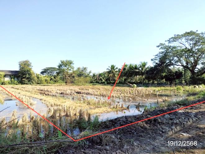 รูป ที่ดินว่างเปล่า 658.8 ตร.วา พาน เชียงราย 989,000 - รูปที่ 4/14