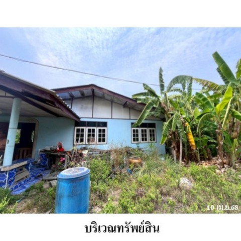 รูป Z4T0560 ขายบ้านเดี่ยว ตำบล หลักสาม อำเภอ บ้านแพ้ว จังหวัด สมุทรสาคร - รูปที่ 4/8