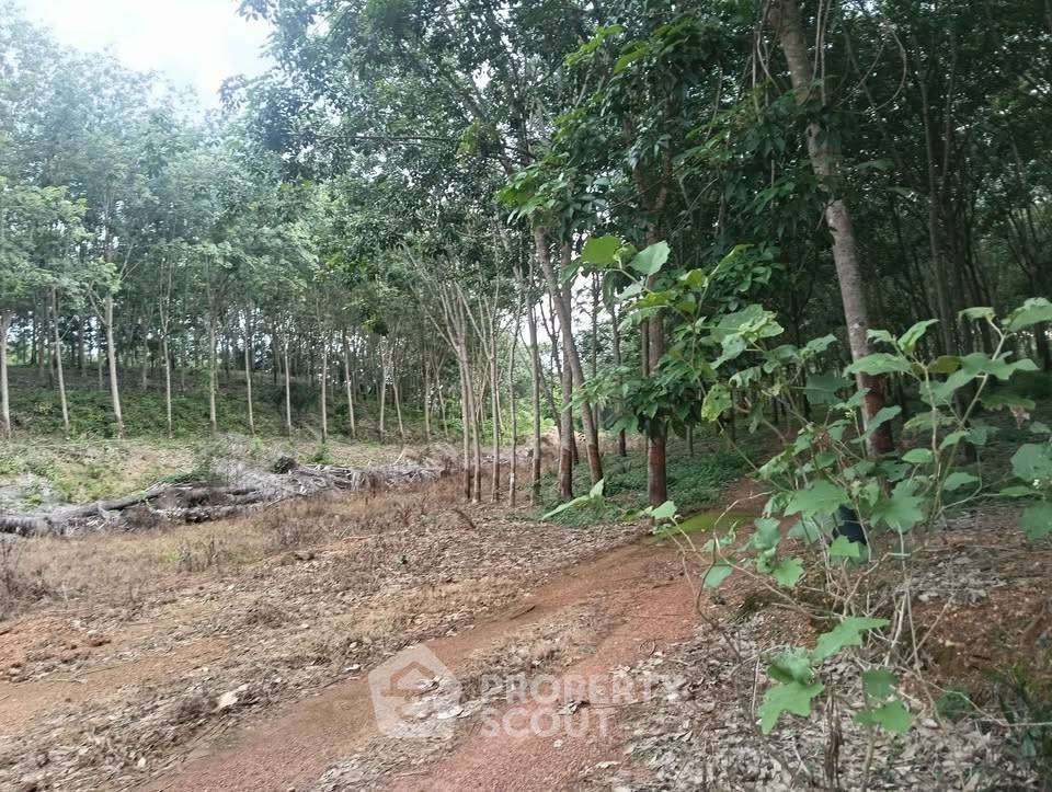 รูป ขายที่ดิน ขนาด 46.9 ตร.ม. บ่อทอง ชลบุรี (ID 3028033) - รูปที่ 1/7