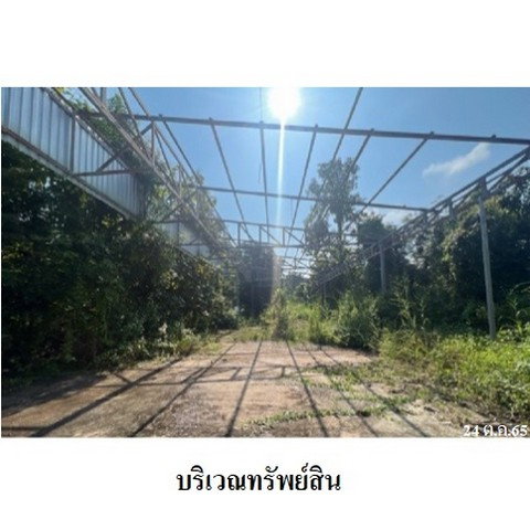 รูป Z8Z7001 ขายโกดัง ตำบล ปงแสนทอง อำเภอ เมืองลำปาง จังหวัด ลำปาง - รูปที่ 8/8